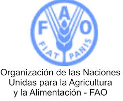 Prácticas remuneradas en FAO.