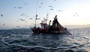 Atlántico, Kattegat y Skagerrak: la Comisión propone las posibilidades de pesca para 2023, que incluyen un aumento de los límites de capturas para las poblaciones de mayor tamaño