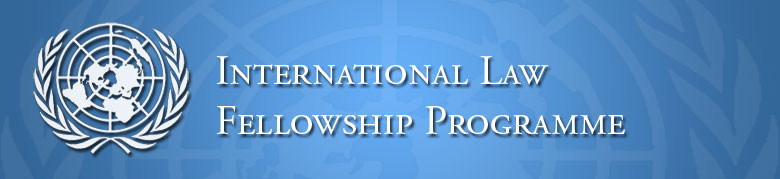 2016 International Law Fellowship Programme.