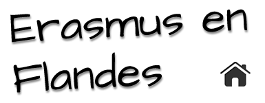 Corresponsales Erasmus en Flandes.