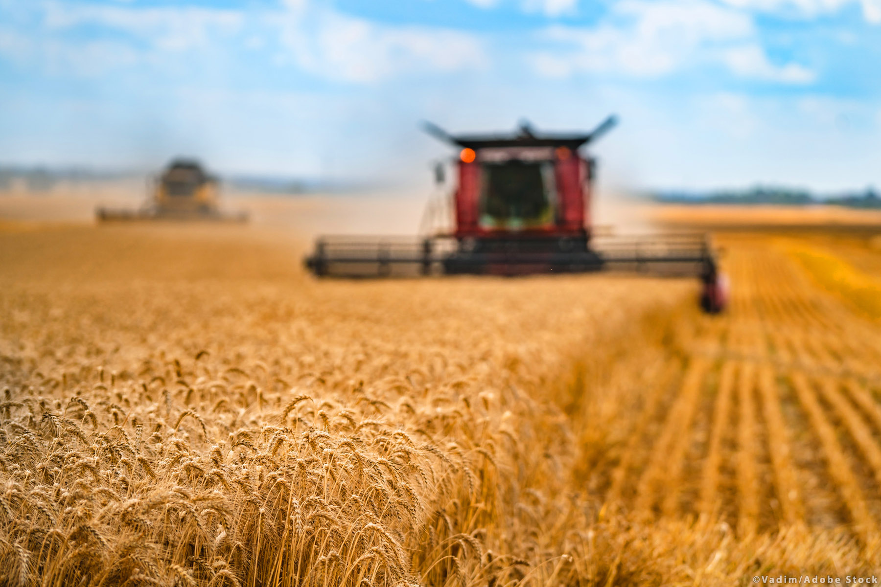 Una política agrícola común más verde, más justa y más solida