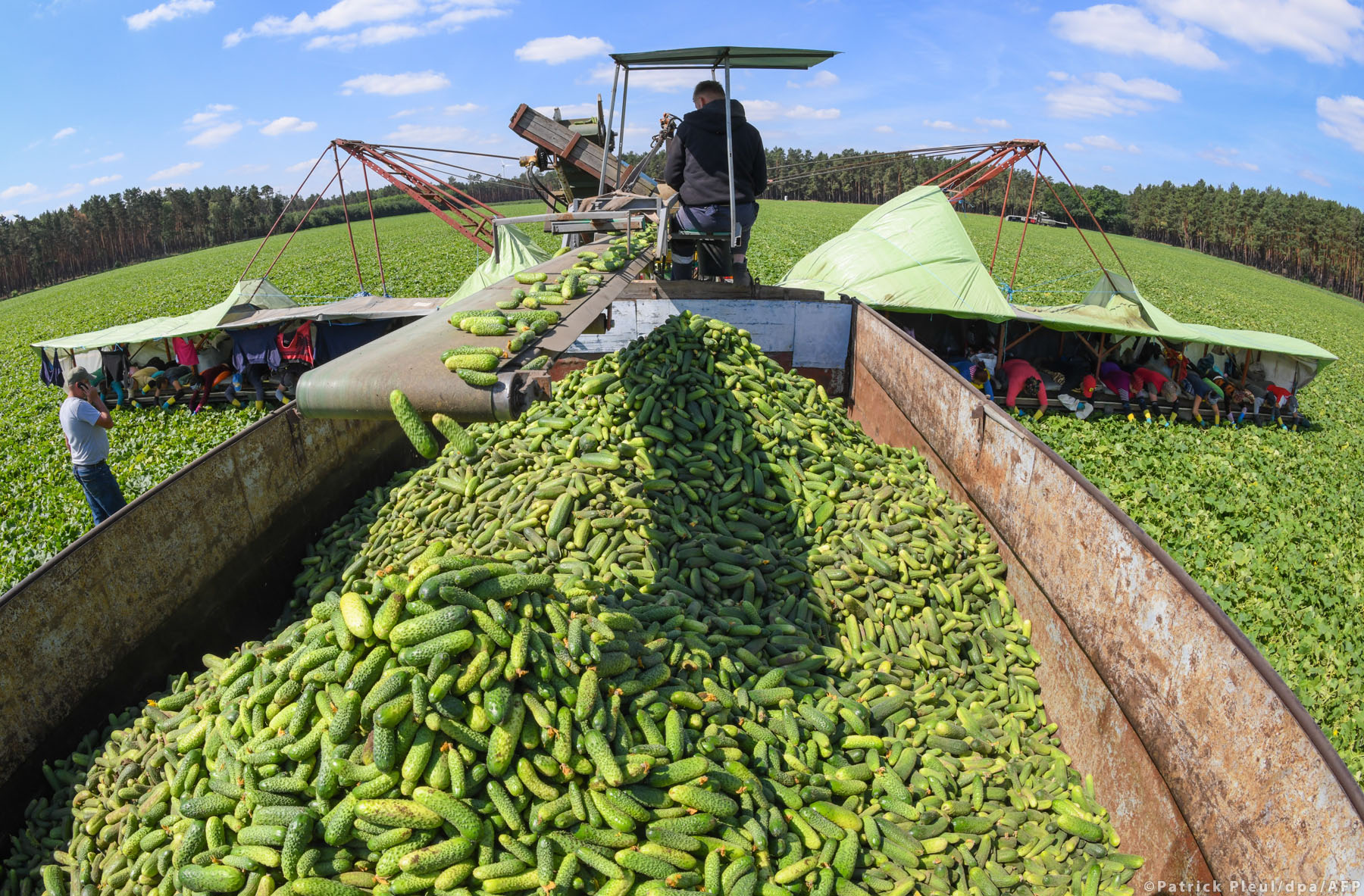 Los agricultores europeos quedan exentos de las normas sobre tierras en barbecho