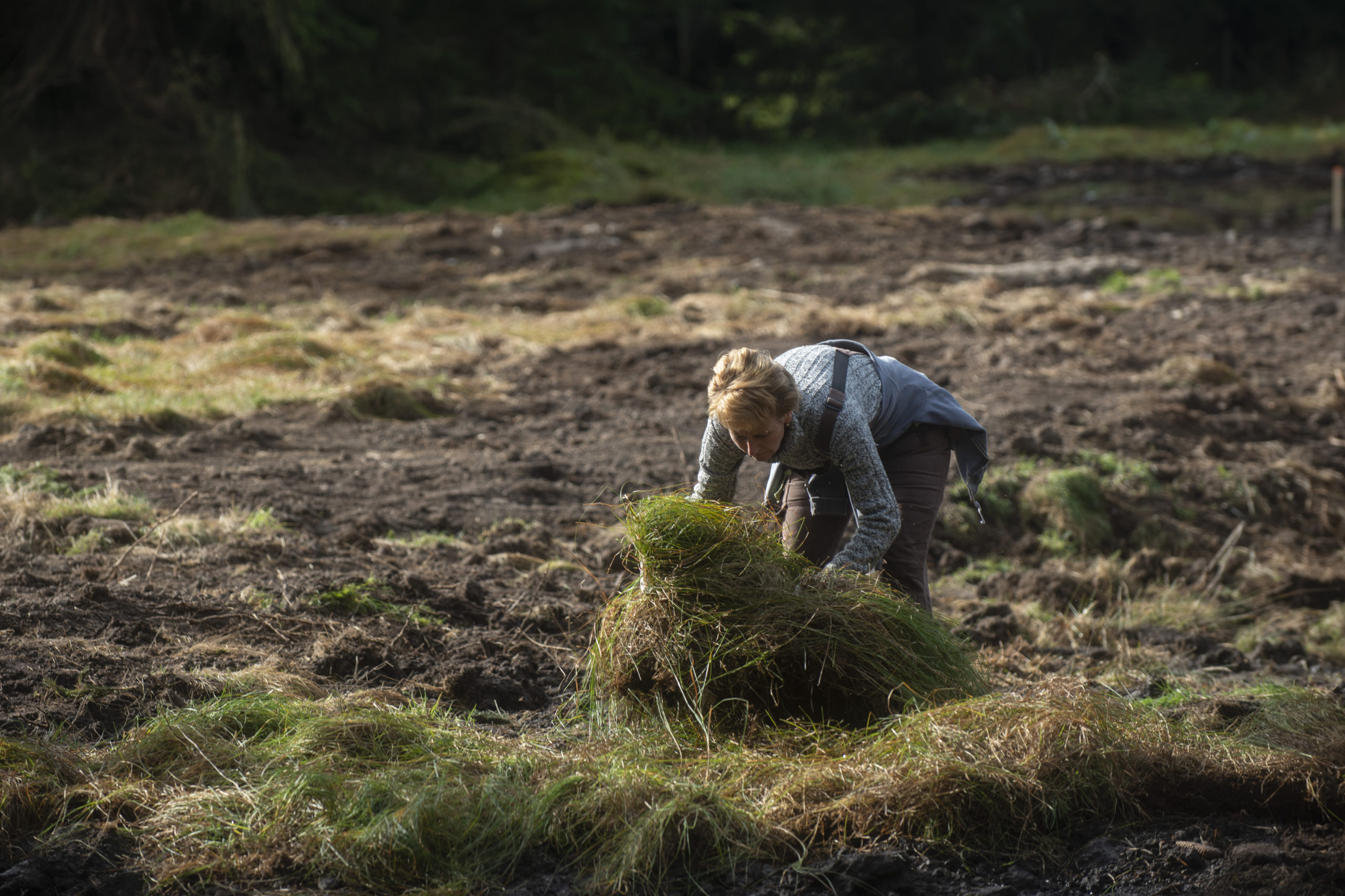 Aunar fuerzas para proteger la biodiversidad en el mundo: La Comisión actúa para sumar más apoyos