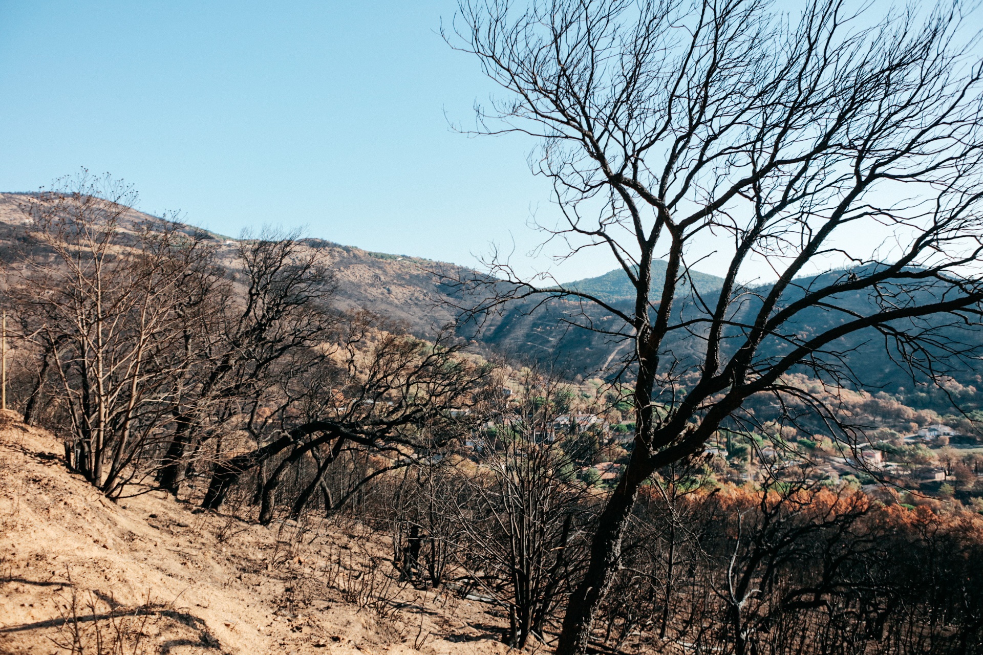 Pacto Verde Europeo: la Comisión adopta nuevas propuestas para atajar la deforestación, innovar en materia de gestión de residuos y hacer que los suelos sean sanos para las personas, la naturaleza y el clima