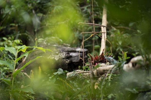 Premios Natura 2000: reconocimiento de la excelencia en la protección de la naturaleza en toda Europa