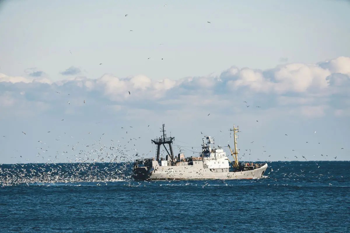 Pesca, acuicultura y ecosistemas marinos: transición hacia la energía limpia y la protección de los ecosistemas en pro de una mayor sostenibilidad y resiliencia