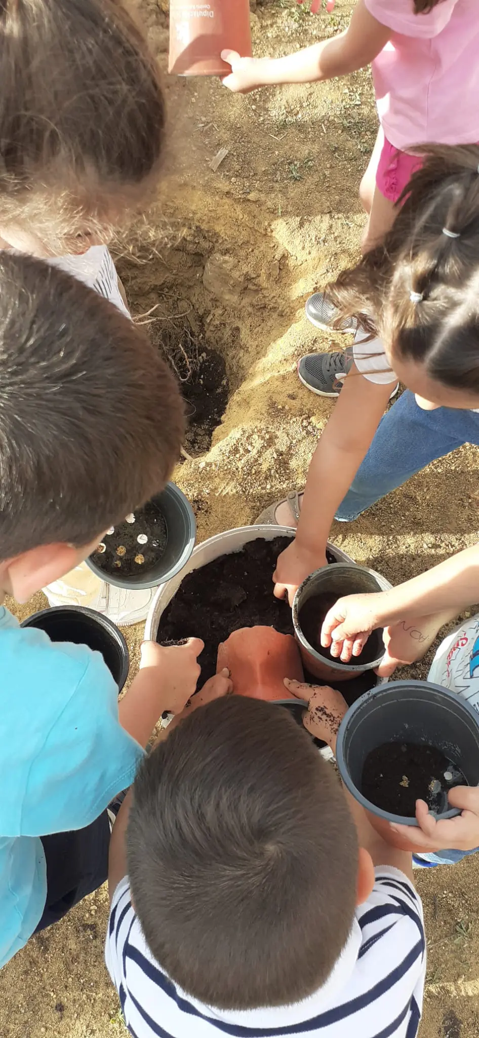 Plantación de árboles en Los Blázquez – 28/04/2023