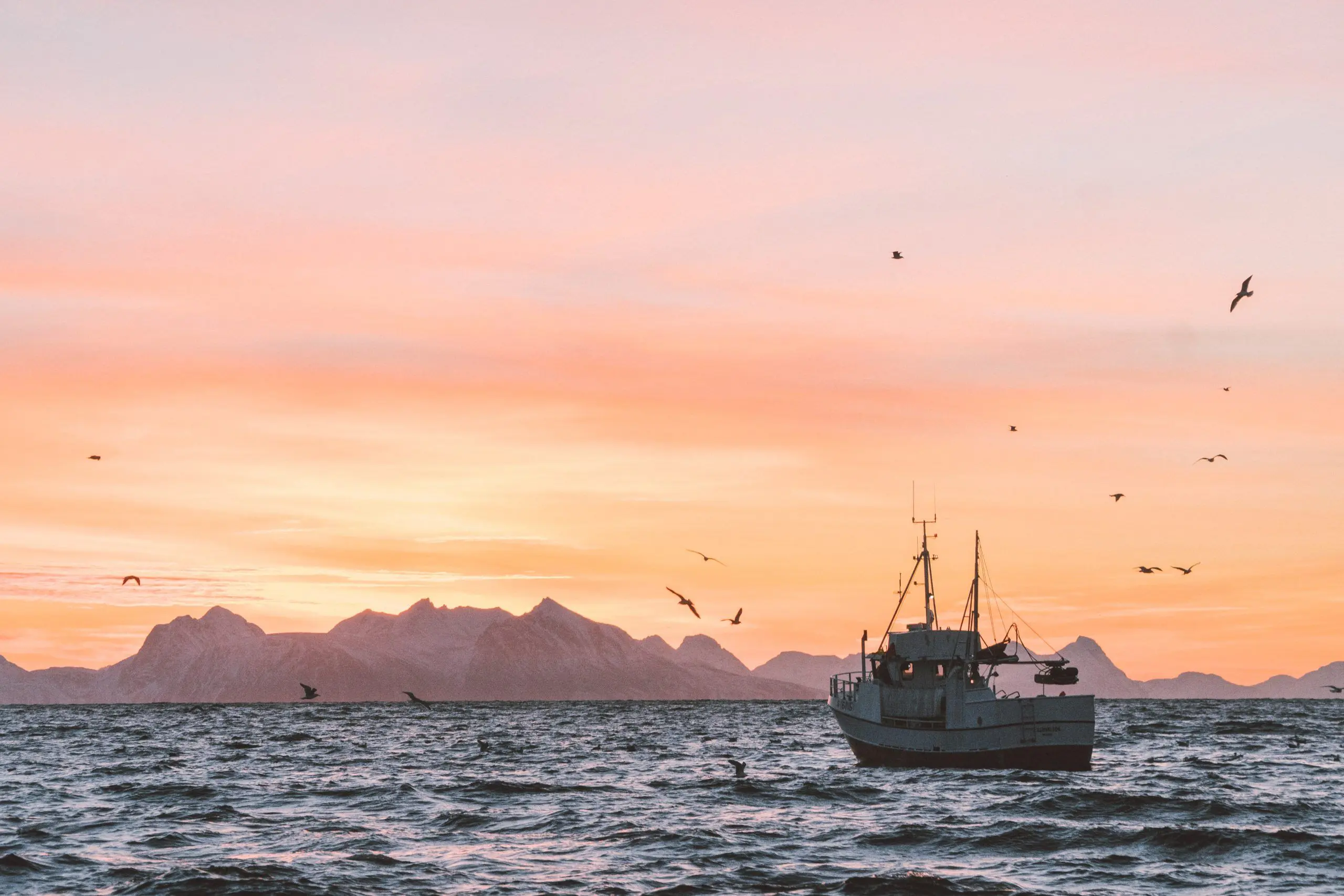 Pesca sostenible: avances en la recuperación de las poblaciones de peces, pero son necesarios más esfuerzos para construir un sector resiliente