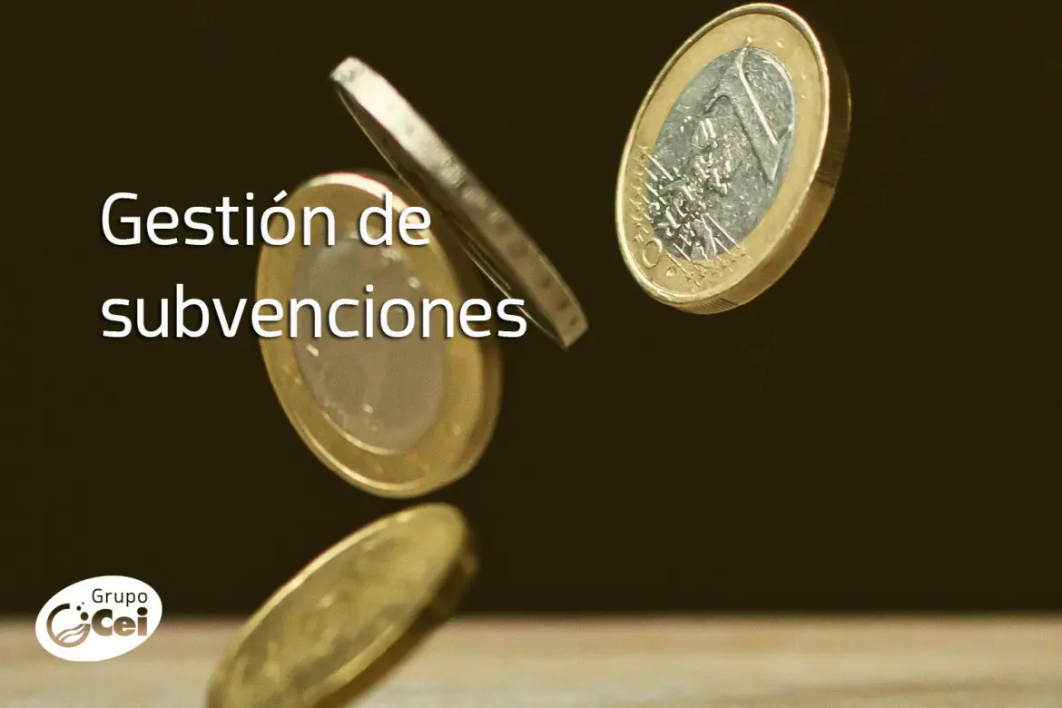 Subvenciones de inicio del CEI: 400 mentes brillantes reciben más de 628 millones de euros