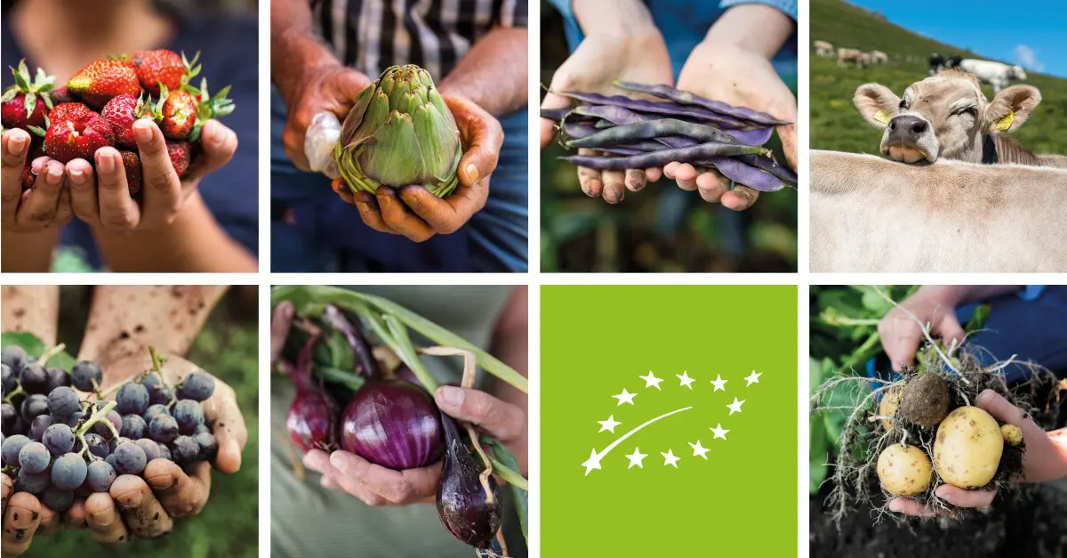 La segunda edición de los premios de la agricultura ecológica de la UE recompensa a ocho ganadores de seis países de la Unión