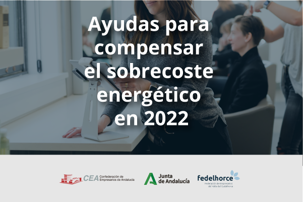 Ayudas al sobrecoste energético de 2022