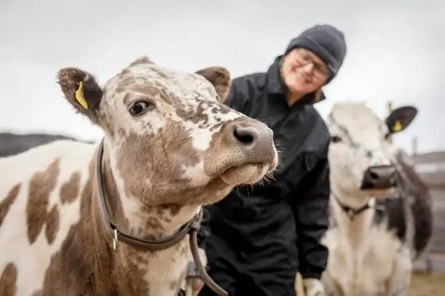 La Comisión propone nuevas normas para mejorar el bienestar de los animales