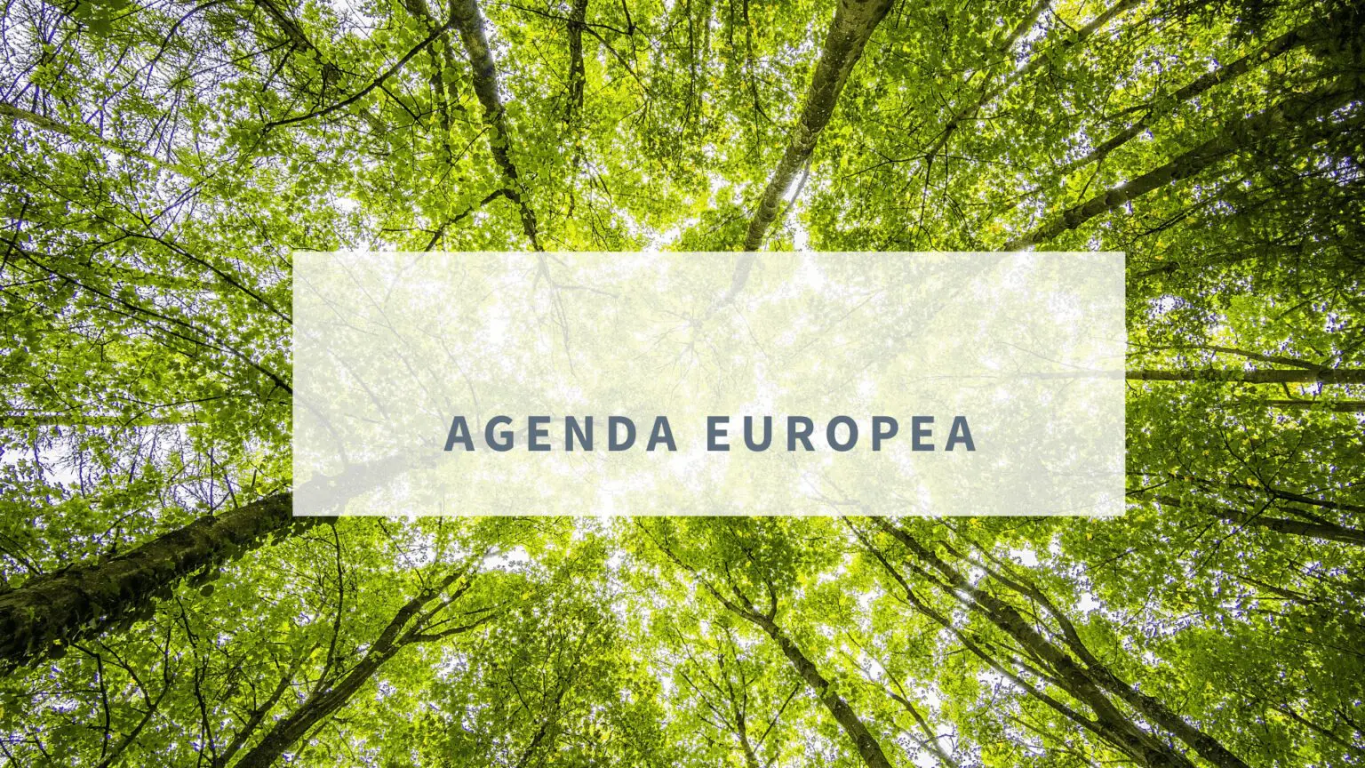 AGENDA EUROPEA del 25 al 31 de marzo de 2024