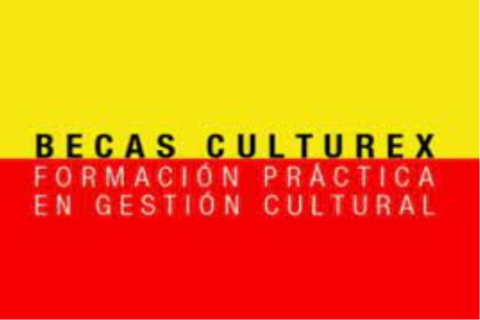 Becas CULTUREX 2024 de formación práctica en gestión cultural para jóvenes españoles en el exterior