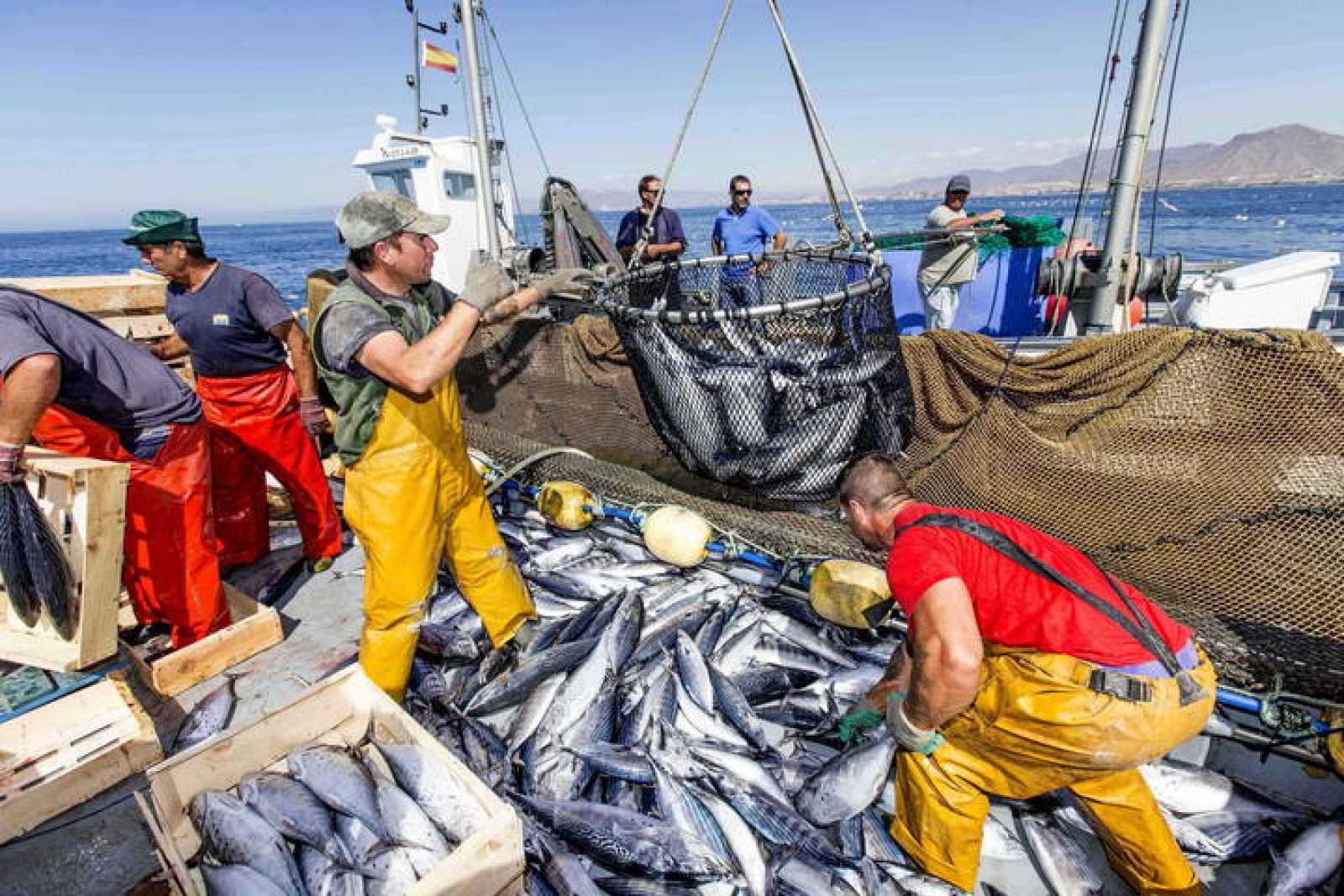 La Comisión inicia consultas para evaluar los programas de financiación de la pesca y de las actividades marítimas