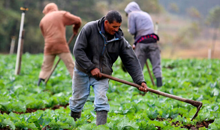 La Comisión aclara el apoyo a los agricultores en caso de fenómenos meteorológicos excepcionales