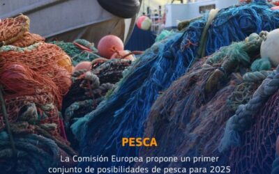 La Comisión propone un primer conjunto de posibilidades de pesca para 2025 en el mar Mediterráneo y el mar Negro.