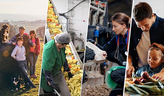 La Comisión Europea pone en marcha la Junta Europea de Agricultura y Alimentación.