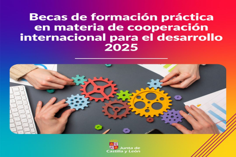 Becas de Formación Práctica en Cooperación Internacional para el Desarrollo 2025.