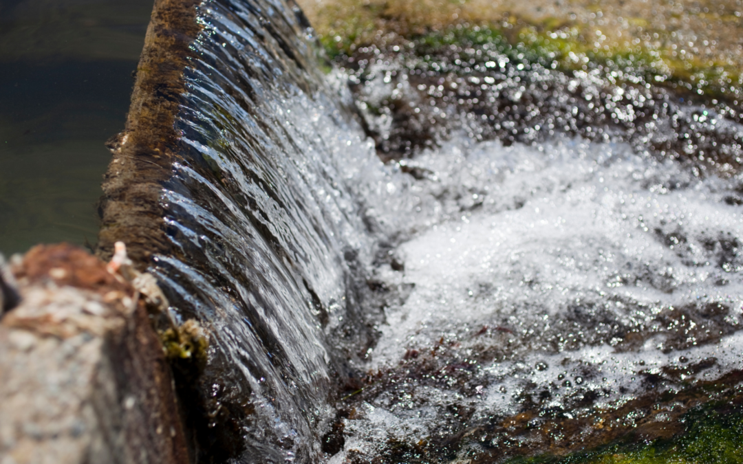 Los informes de la Comisión muestran que es necesario avanzar más rápidamente en toda Europa para proteger las aguas y gestionar mejor los riesgos de inundación.